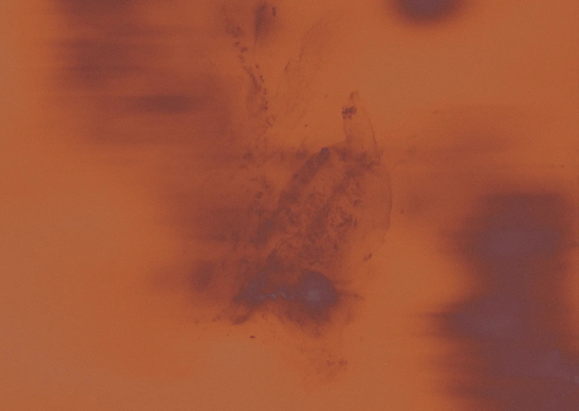 Top 100 header background